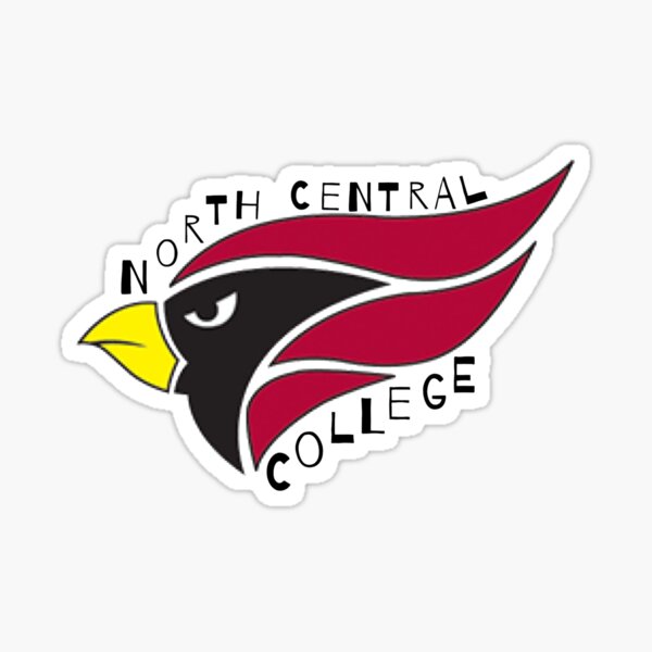 North Central College Football Jersey NEW - North Central College