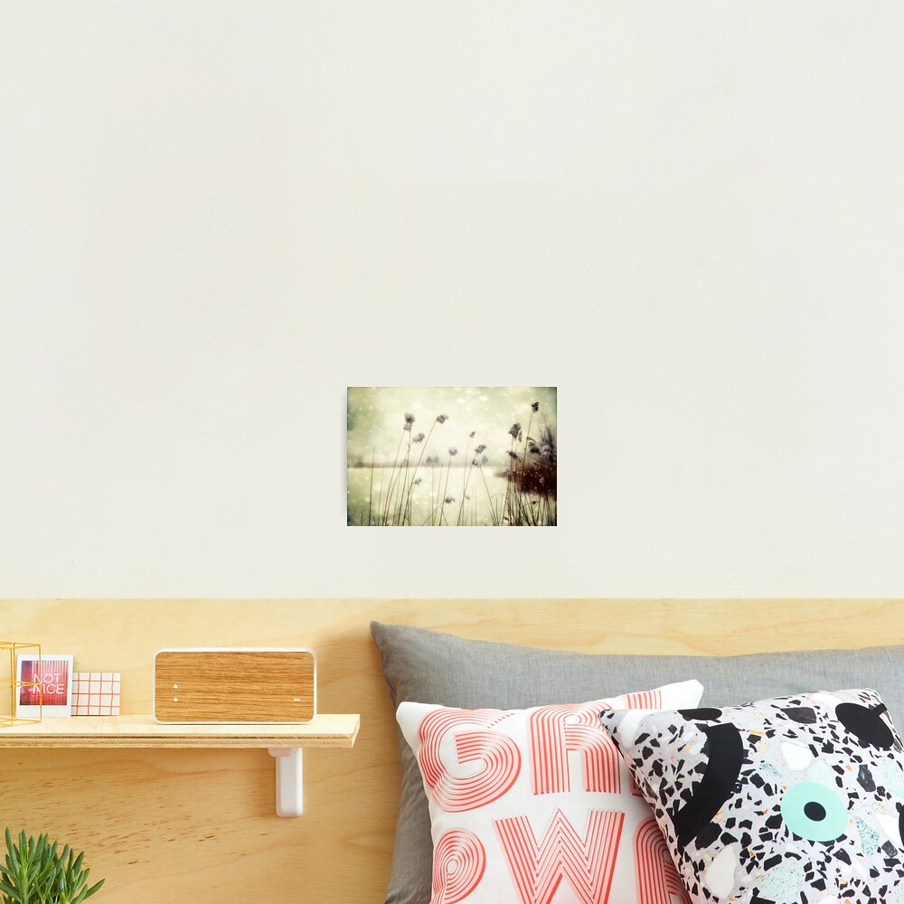 Item preview, Photographic Print designed and sold by James L. Brown.