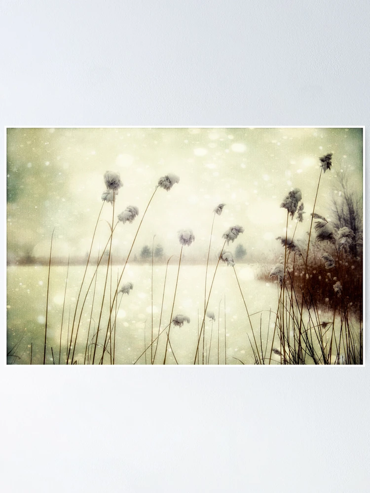 Thumbnail 1 of 3, Poster, Awaiting Spring designed and sold by James L. Brown.