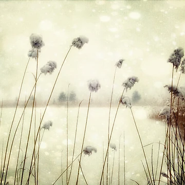 Artwork thumbnail, Awaiting Spring by James L. Brown