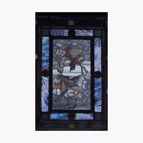 Leased Glass Birds Photographic Print