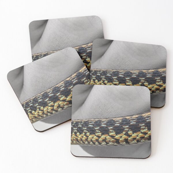 Item preview, Spring Scales designed and sold by Emily Noyes.