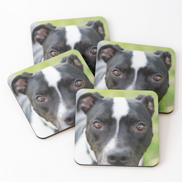Item preview, Closeup of black and white dog designed and sold by Stretch Clendennen.