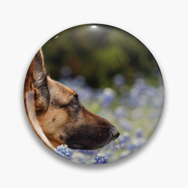 Item preview, German Shepherd enjoying the sights and smells of Tx Bluebonnets designed and sold by Raul Cano.