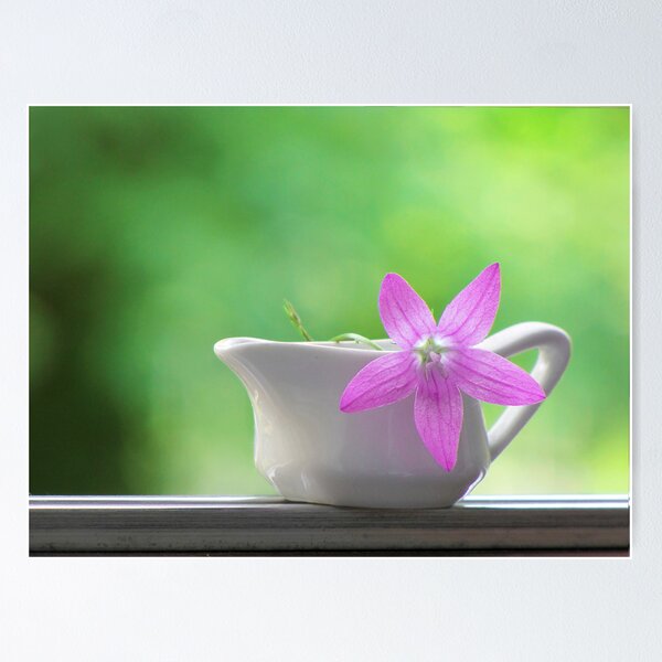 Item preview, Saturday designed and sold by vichy.