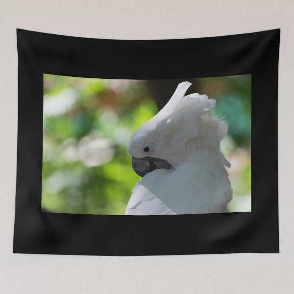 Item preview, Closeup of a White Cockatoo preening its feathers designed and sold by Stretch Clendennen.