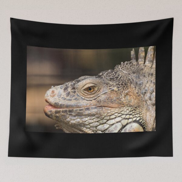 Item preview, Closeup of Green Iguana showing the brilliant yellow eye colors designed and sold by Stretch Clendennen.