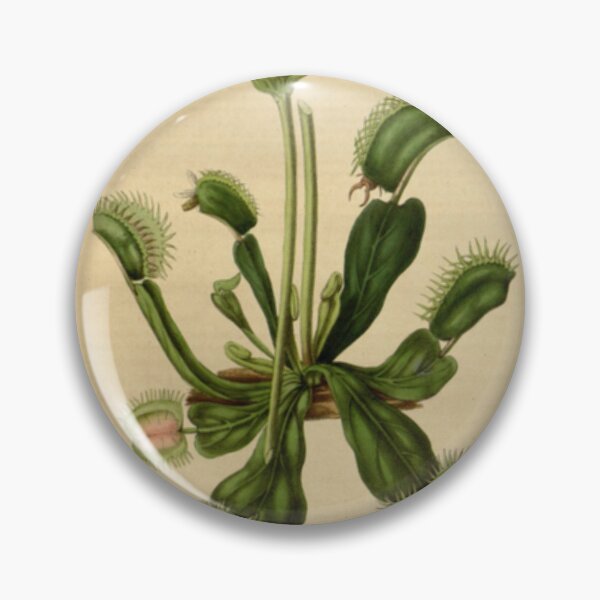 Item preview, Venus Fly Trap designed and sold by BlueSpecsStudio.