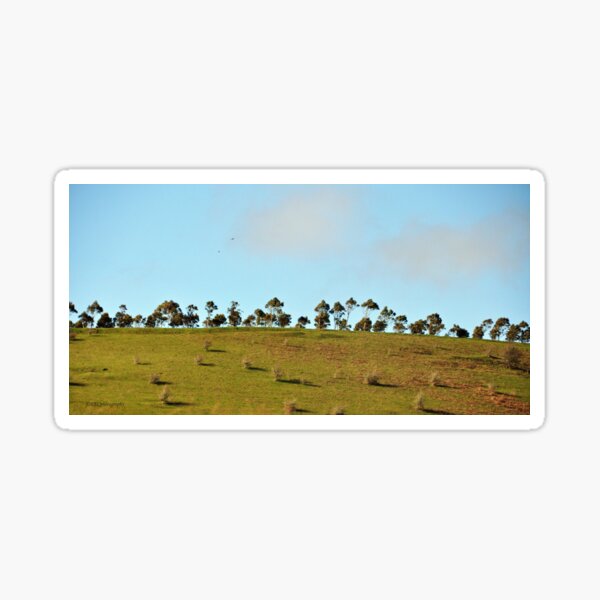 Dotted Horizon Sticker