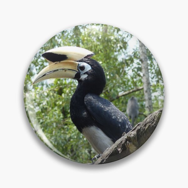 Item preview, Oriental Pied Hornbill designed and sold by Trish Meyer.