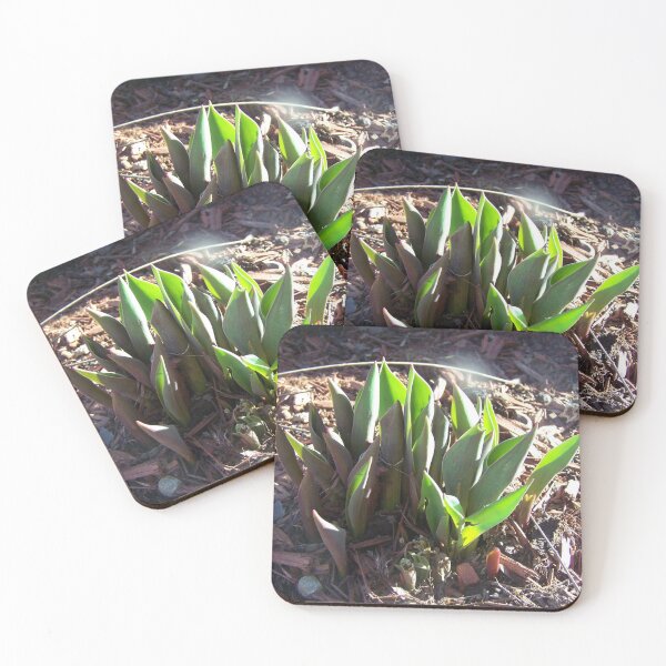 Item preview, Sprouting Tulip Plant designed and sold by GrudleBay.