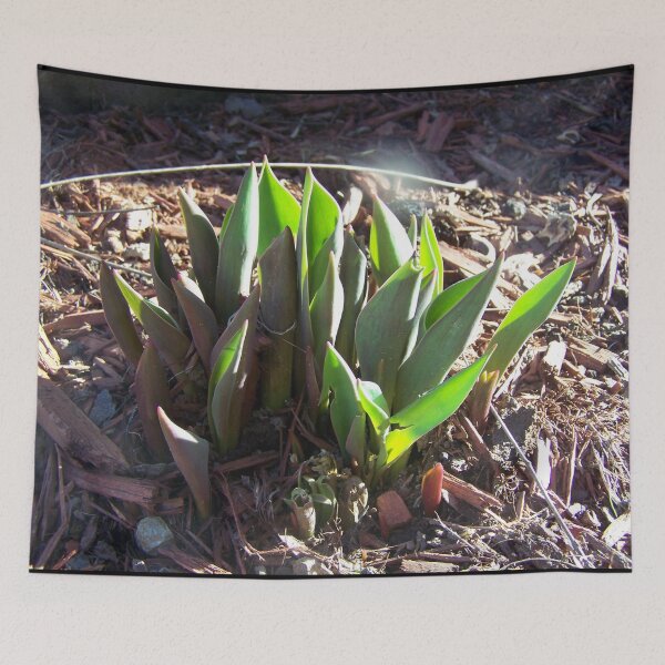 Item preview, Sprouting Tulip Plant designed and sold by GrudleBay.