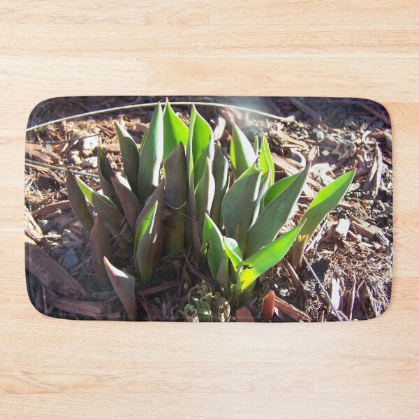 Item preview, Sprouting Tulip Plant designed and sold by GrudleBay.