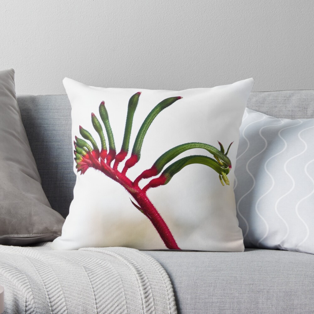 Kangaroo paw I Throw Pillow