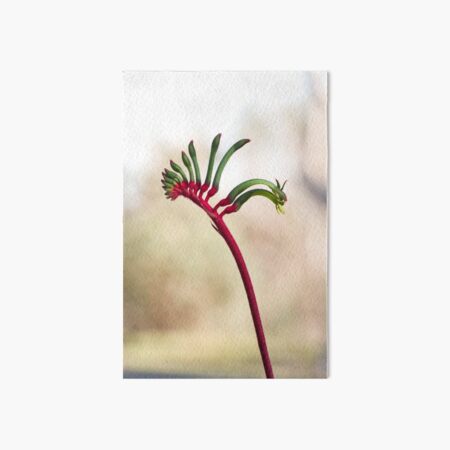 Yonga ma Art Board Print