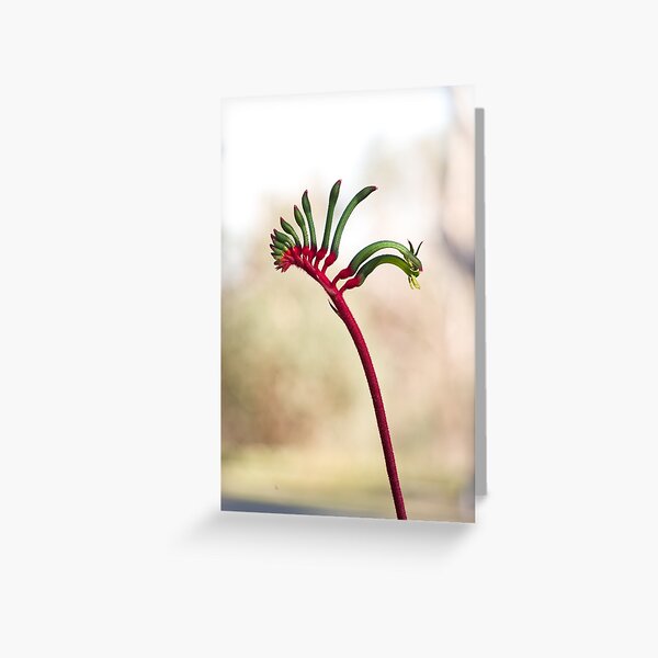 Yonga ma Greeting Card