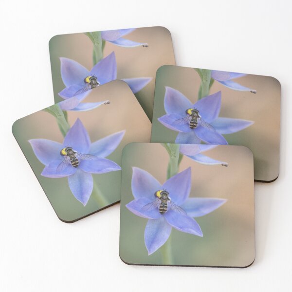 Item preview, sun orchid designed and sold by Gnangarra.