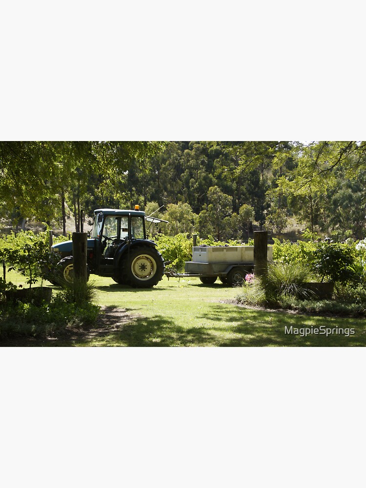 Thumbnail 3 of 3, Sticker, Picking in the Pinot - Adelaide Hills Wine Region - Fleurieu Peninsula - by South Australian artist Avril Thomas designed and sold by MagpieSprings.