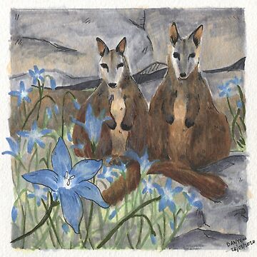 Artwork thumbnail, Wallabies & Royal Bluebells by ddanyen