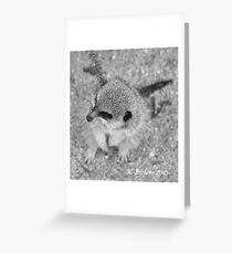 Heads up Greeting Card