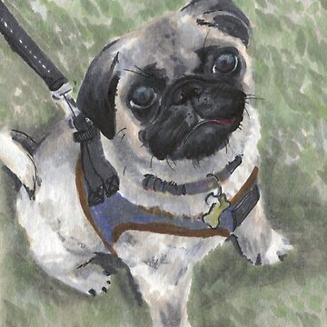 Artwork thumbnail, Mondo the Pug by ddanyen