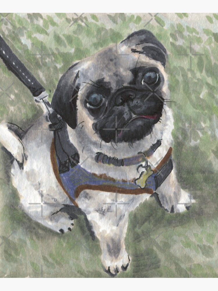 Thumbnail 3 of 3, Sticker, Mondo the Pug designed and sold by ddanyen.