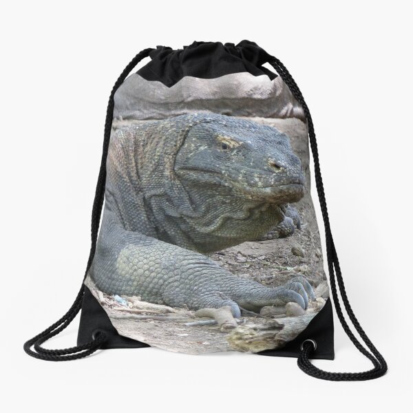 komodo dragon backpack