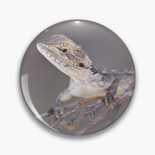 Item preview, dragon designed and sold by Gnangarra.