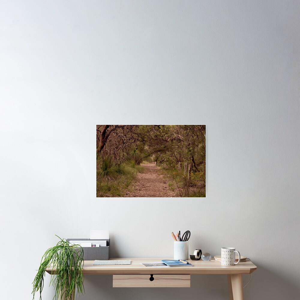 Banksia grove Poster