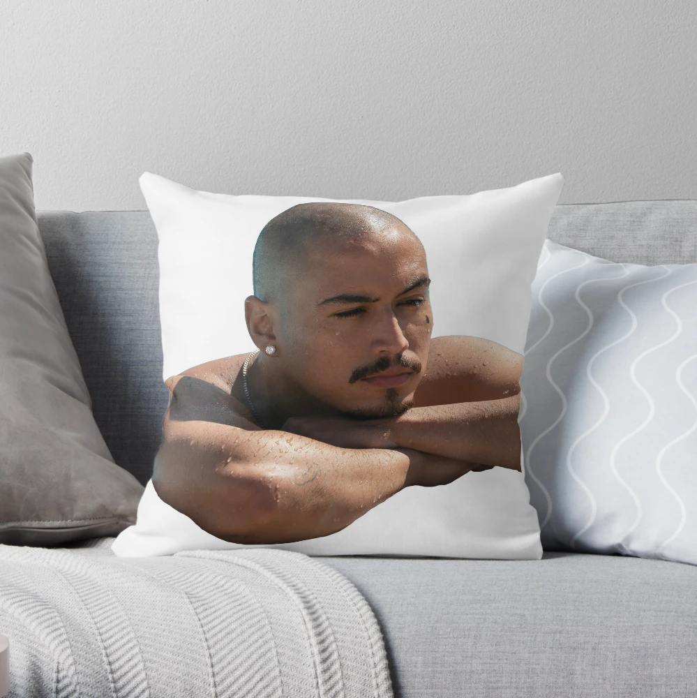 https://ih1.redbubble.net/image.1134115286.1633/throwpillow,small,1000x-bg,f8f8f8-c,0,200,1000,1000.webp