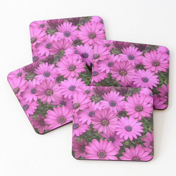 Item preview, A Crowd Of Pink Purple African Daisies designed and sold by taiche.