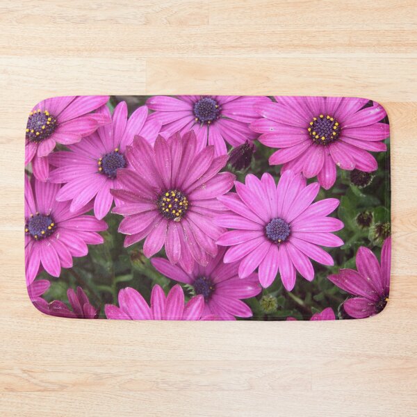 Item preview, A Crowd Of Pink Purple African Daisies designed and sold by taiche.