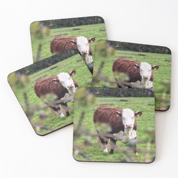 Item preview, Hereford Cow designed and sold by Seashorepics.