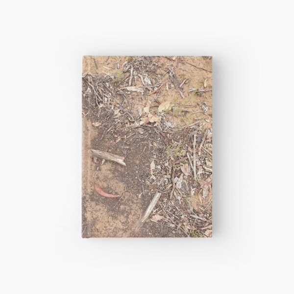 Earth Painting Phenomenon Hardcover Journal
