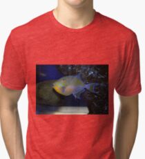 Electric Blue and Gold Tri-blend T-Shirt
