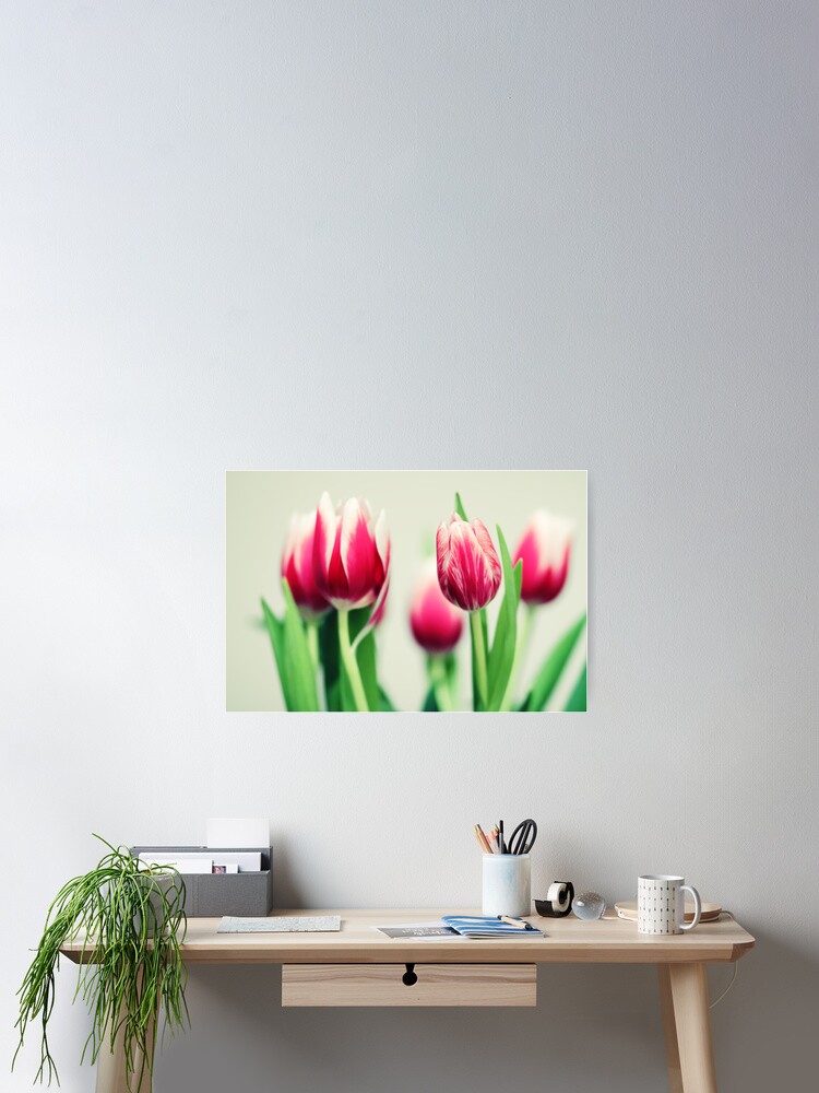 Imagen 2 de 3, Póster con la obra Tulips, diseñada y vendida por smilyjay.