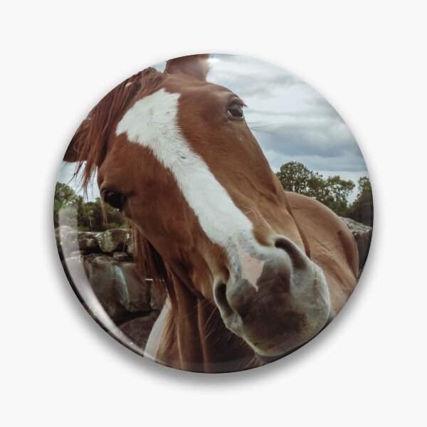 Item preview, Mr Ed designed and sold by Tjb62.