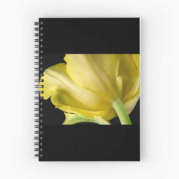 Item preview, Hello Sunshine {Yellow Tulip} designed and sold by SmoothBreeze7 | Liz Collet Photography.