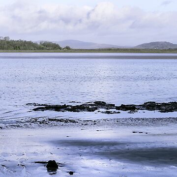 Artwork thumbnail, Looking At- A View by Carl Gaynor