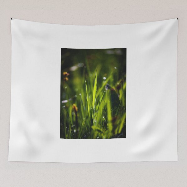 Item preview, Green grass and dew at sunrise designed and sold by Alex2789.