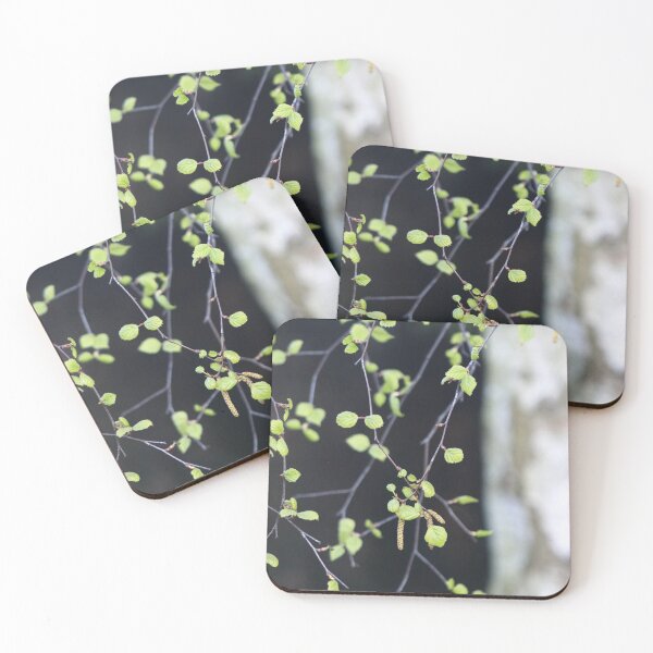 Item preview, Birch tree leaves and bokeh bark in spring designed and sold by chihuahuashower.