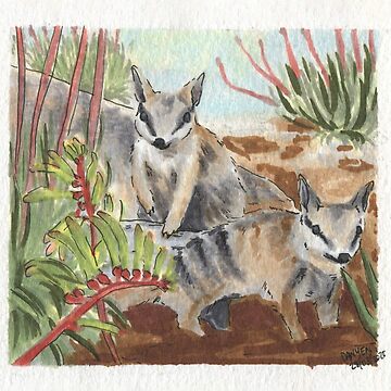 Artwork thumbnail, Numbats & Kangaroo Paws by ddanyen