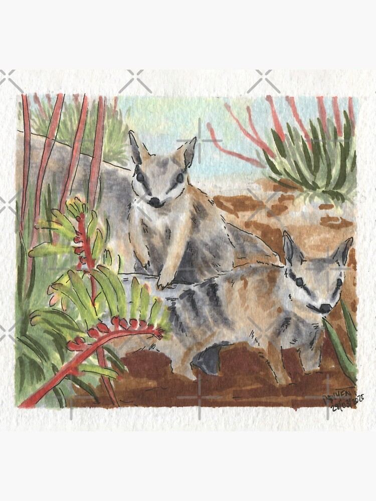 Thumbnail 3 of 3, Sticker, Numbats & Kangaroo Paws designed and sold by ddanyen.