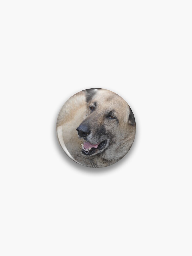 Big dog pins sale