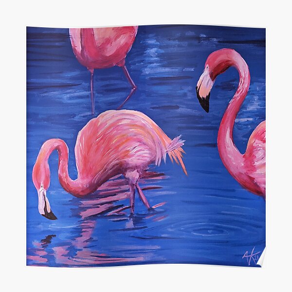 Flamingos Poster