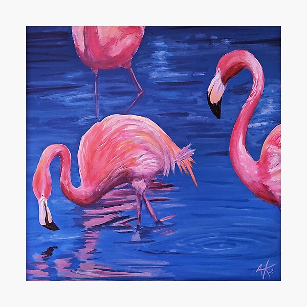 Flamingos Photographic Print