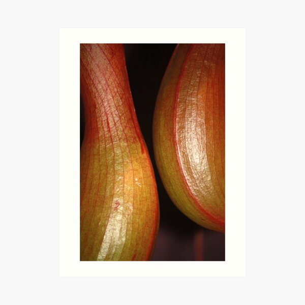 sensual curves and veins Art Print