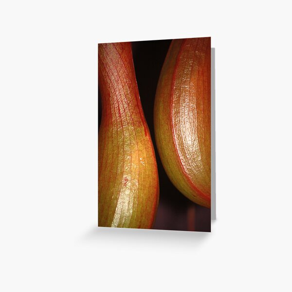 sensual curves and veins Greeting Card