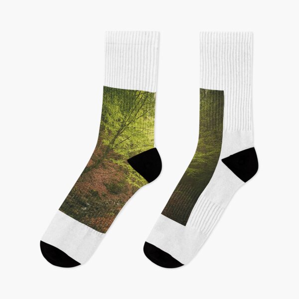 Item preview, Green forest in the spring with colorful autumn leaves on the ground designed and sold by Alex2789.