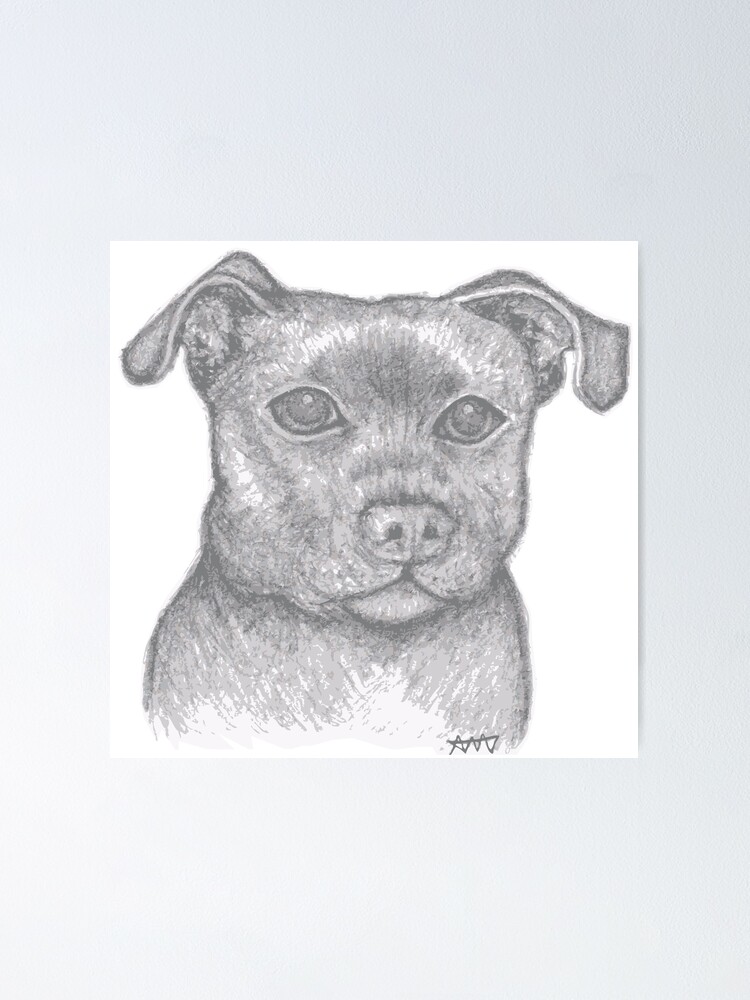 Poster Staffy Perro Cachorro Dibujo De Staffydognco Redbubble